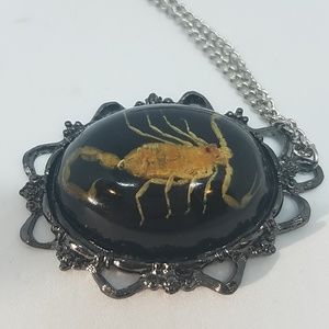 GASOLINE GLAMOUR Jewelry - Black scorpion necklace new π¦π¦π¦π¦ GASOLINE GLAMOUR Jewelry - Black scorpion necklace new π¦π¦π¦π¦